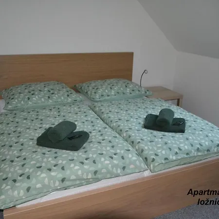Apartamento Benatky *